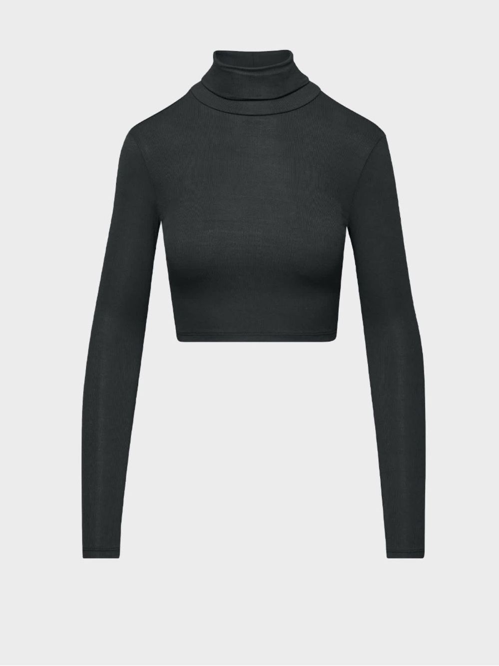 ARITZIA Freshman Crop Long-Sleeve Turtleneck Top - Black